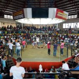 Cockfighting-Cebu-01