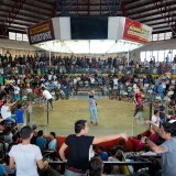 Cockfighting-Cebu-03