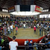 Cockfighting-Cebu-07